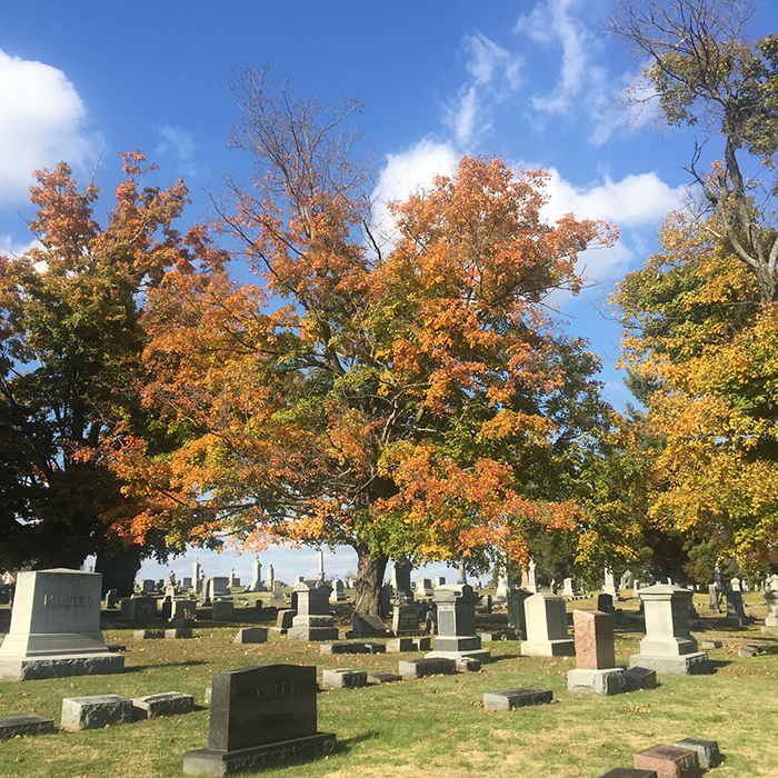 Graveyard with autumn foliage 